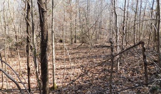 Photo #9 of SOLD property in Off Lancer Ln. / Tbd A.L. Philpott Hwy (Hwy 58), Martinsville, VA 32.9 acres