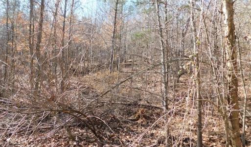 Photo #11 of SOLD property in Off Lancer Ln. / Tbd A.L. Philpott Hwy (Hwy 58), Martinsville, VA 32.9 acres