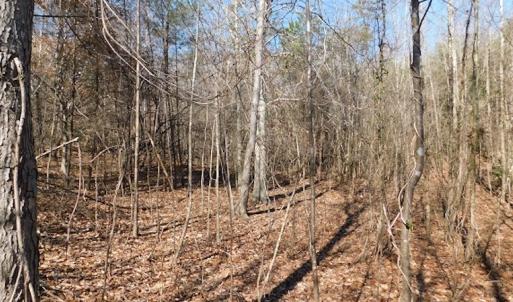 Photo #12 of SOLD property in Off Lancer Ln. / Tbd A.L. Philpott Hwy (Hwy 58), Martinsville, VA 32.9 acres