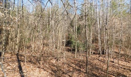 Photo #13 of SOLD property in Off Lancer Ln. / Tbd A.L. Philpott Hwy (Hwy 58), Martinsville, VA 32.9 acres