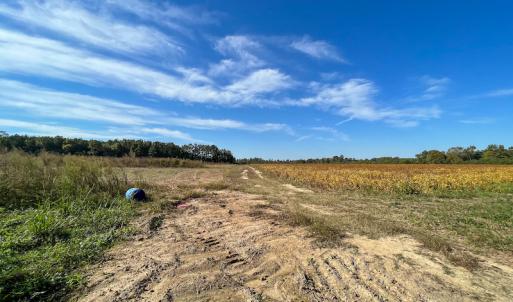Photo #8 of SOLD property in Off Sids Mill Road, Fayetteville, NC 151.6 acres