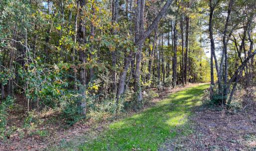 Photo #12 of SOLD property in Off Sids Mill Road, Fayetteville, NC 151.6 acres