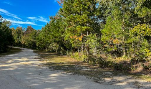 Photo #5 of SOLD property in Off Sids Mill Road, Fayetteville, NC 151.6 acres