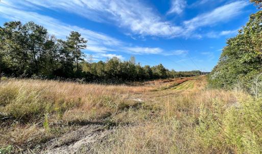 Photo #13 of SOLD property in Off Sids Mill Road, Fayetteville, NC 151.6 acres