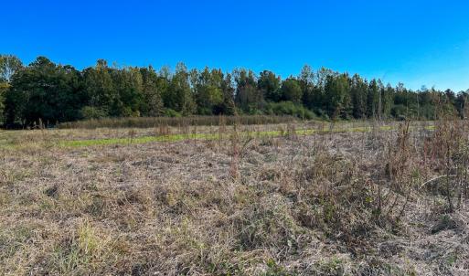 Photo #14 of SOLD property in Off Sids Mill Road, Fayetteville, NC 151.6 acres