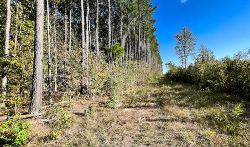 Photo #15 of SOLD property in Off Sids Mill Road, Fayetteville, NC 151.6 acres