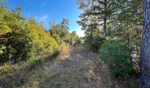 Photo #16 of SOLD property in Off Sids Mill Road, Fayetteville, NC 151.6 acres