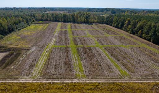 Photo #24 of SOLD property in Off Sids Mill Road, Fayetteville, NC 151.6 acres