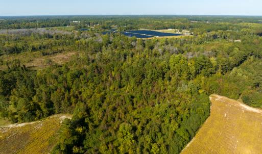 Photo #28 of SOLD property in Off Sids Mill Road, Fayetteville, NC 151.6 acres