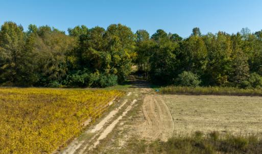 Photo #29 of SOLD property in Off Sids Mill Road, Fayetteville, NC 151.6 acres