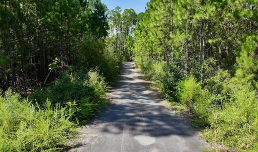 Photo #19 of Off Jarvis Landing Rd, Aurora, NC 8.3 acres