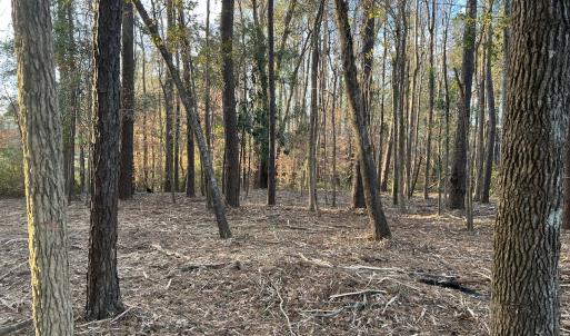 Photo #12 of SOLD property in 0 NC Hwy 87 E, Council, NC 2.7 acres