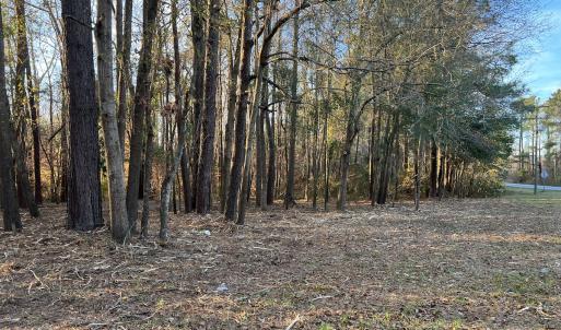 Photo #14 of SOLD property in 0 NC Hwy 87 E, Council, NC 2.7 acres