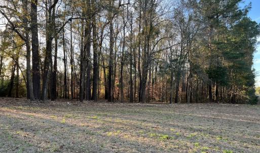 Photo #15 of SOLD property in 0 NC Hwy 87 E, Council, NC 2.7 acres
