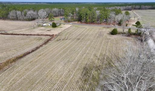 Photo #11 of SOLD property in Off Old Brick Road, Vanceboro, NC 12.0 acres