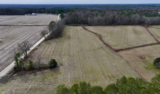 Photo #3 of SOLD property in Off Old Brick Road, Vanceboro, NC 12.0 acres