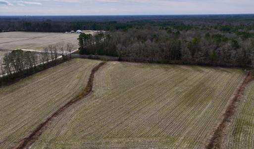 Photo #5 of SOLD property in Off Old Brick Road, Vanceboro, NC 12.0 acres