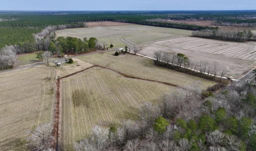 Photo #8 of SOLD property in Off Old Brick Road, Vanceboro, NC 12.0 acres