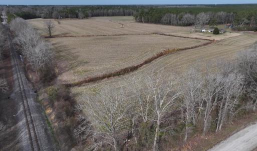 Photo #10 of SOLD property in Off Old Brick Road, Vanceboro, NC 12.0 acres