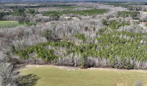 Photo #13 of SOLD property in Off Roxobel Road, Rich Square, NC 13.6 acres