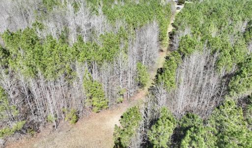 Photo #19 of SOLD property in Off Roxobel Road, Rich Square, NC 13.6 acres