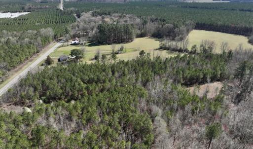 Photo #5 of SOLD property in Off Roxobel Road, Rich Square, NC 13.6 acres