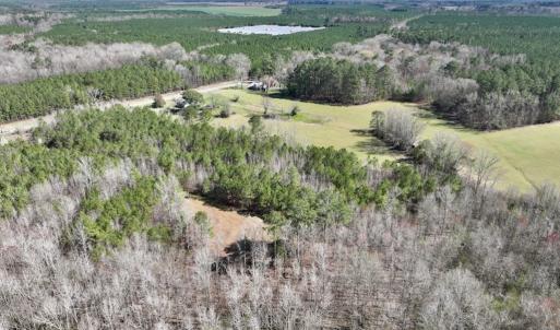 Photo #7 of SOLD property in Off Roxobel Road, Rich Square, NC 13.6 acres