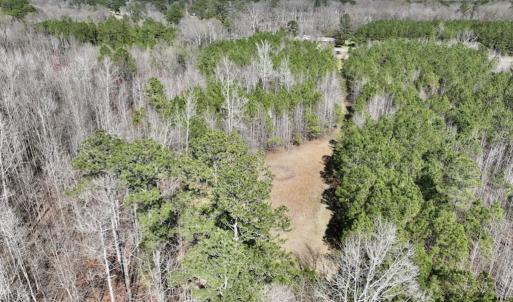 Photo #21 of SOLD property in Off Roxobel Road, Rich Square, NC 13.6 acres