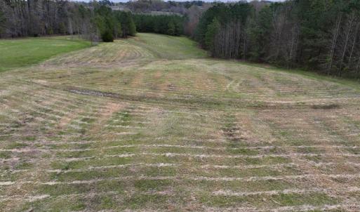 Photo #13 of SOLD property in Off Bessie Hicks Road, Norlina, NC 3.0 acres