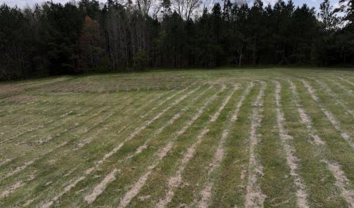 Photo #14 of SOLD property in Off Bessie Hicks Road, Norlina, NC 3.0 acres