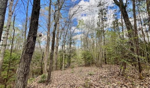 Photo #1 of SOLD property in Off Bessie Hicks Road, Norlina, NC 19.0 acres