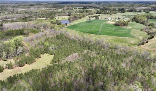 Photo #18 of SOLD property in Off Bessie Hicks Road, Norlina, NC 19.0 acres