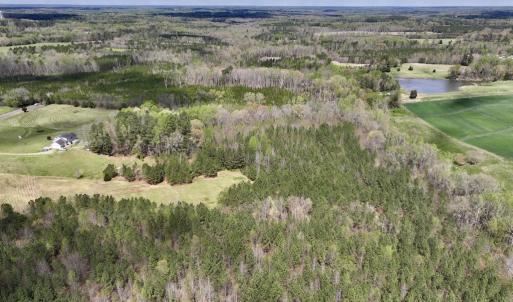 Photo #19 of SOLD property in Off Bessie Hicks Road, Norlina, NC 19.0 acres