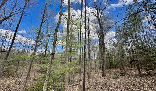 Photo #3 of SOLD property in Off Bessie Hicks Road, Norlina, NC 19.0 acres