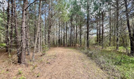 Photo #8 of SOLD property in Off Bessie Hicks Road, Norlina, NC 19.0 acres