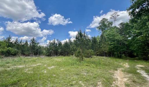 Photo #27 of Off Buck Rd, Middlesex, NC 98.0 acres