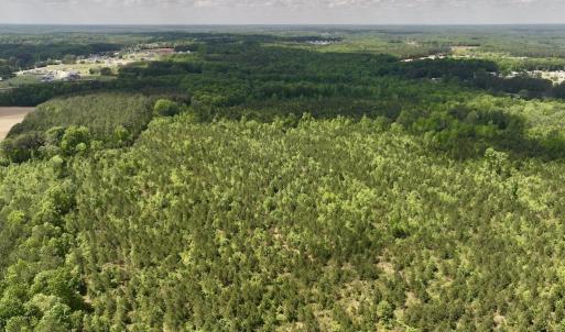 Photo #24 of Off Buck Rd, Middlesex, NC 98.0 acres