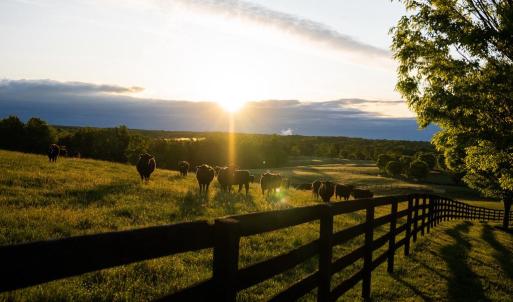 Photo #1 of 510 MOUNT PLEASANT FARM ROAD, SCOTTSVILLE, VA 2,784.0 acres