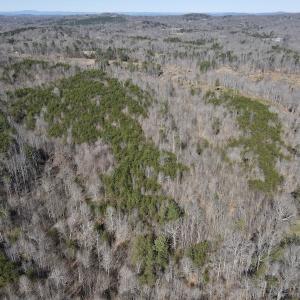 Photo #6 of SOLD property in Off Lancer Ln. / Tbd A.L. Philpott Hwy (Hwy 58), Martinsville, VA 32.9 acres