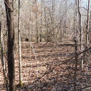 Photo #9 of SOLD property in Off Lancer Ln. / Tbd A.L. Philpott Hwy (Hwy 58), Martinsville, VA 32.9 acres