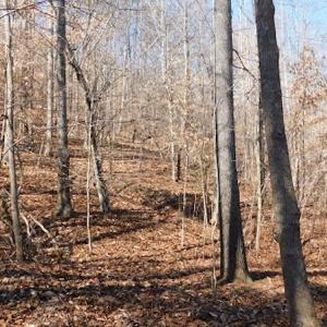 Photo #15 of SOLD property in Off Lancer Ln. / Tbd A.L. Philpott Hwy (Hwy 58), Martinsville, VA 32.9 acres
