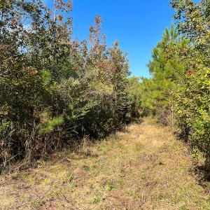 Photo #11 of SOLD property in Off Sids Mill Road, Fayetteville, NC 151.6 acres