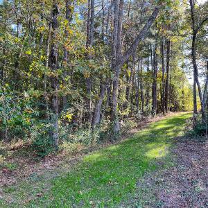 Photo #12 of SOLD property in Off Sids Mill Road, Fayetteville, NC 151.6 acres