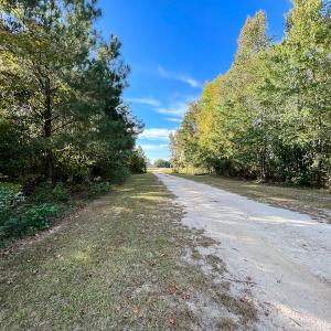 Photo #4 of SOLD property in Off Sids Mill Road, Fayetteville, NC 151.6 acres