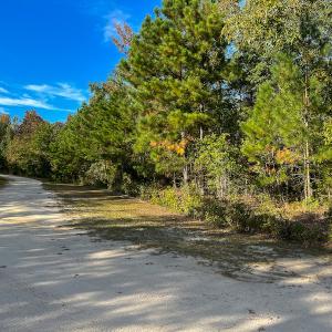Photo #5 of SOLD property in Off Sids Mill Road, Fayetteville, NC 151.6 acres