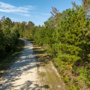 Photo #19 of SOLD property in Off Sids Mill Road, Fayetteville, NC 151.6 acres