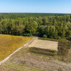 Photo #25 of SOLD property in Off Sids Mill Road, Fayetteville, NC 151.6 acres