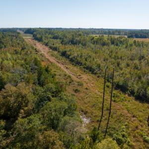Photo #27 of SOLD property in Off Sids Mill Road, Fayetteville, NC 151.6 acres