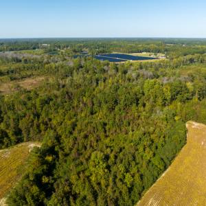 Photo #28 of SOLD property in Off Sids Mill Road, Fayetteville, NC 151.6 acres