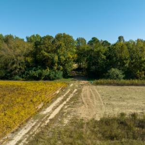 Photo #29 of SOLD property in Off Sids Mill Road, Fayetteville, NC 151.6 acres